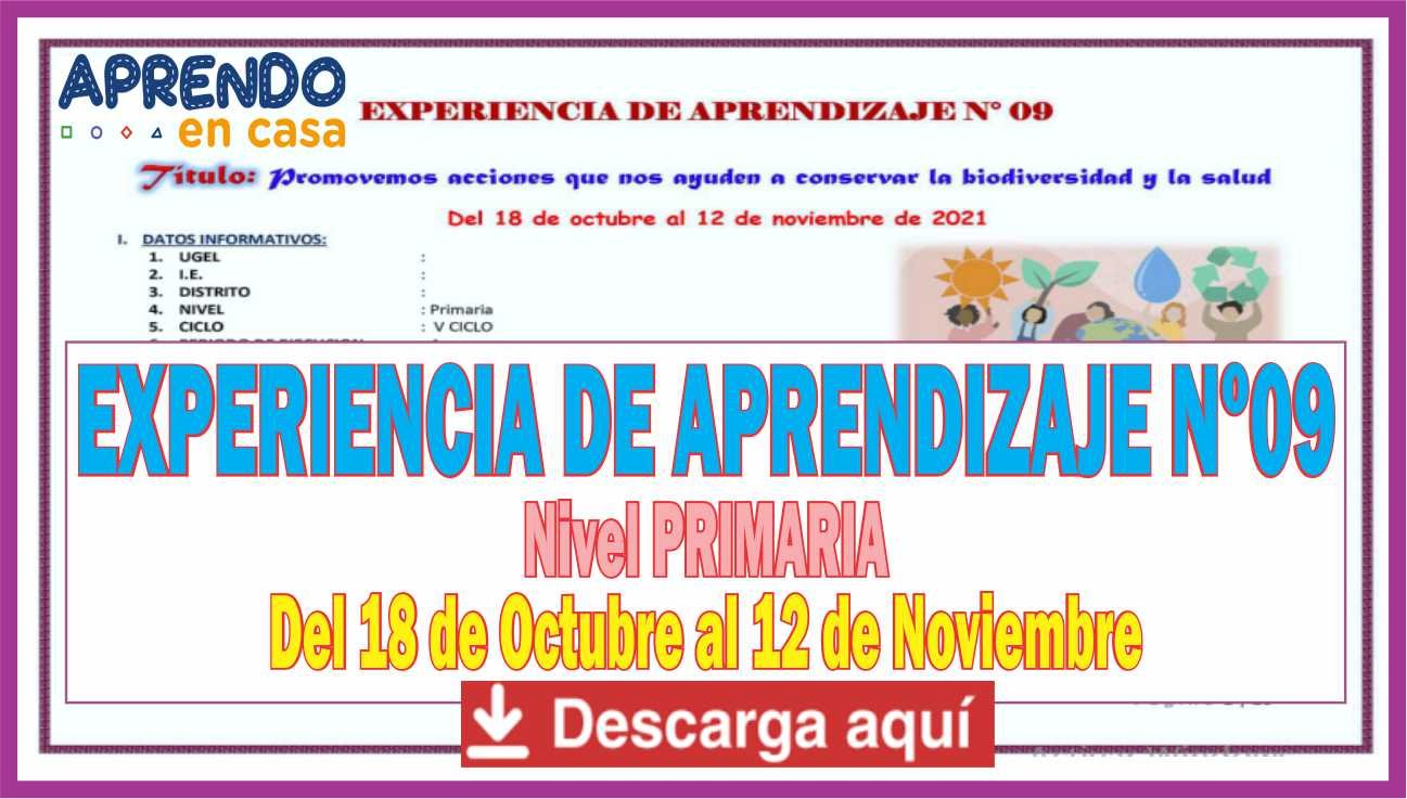 APRENDO EN CASA: EXPERIENCIA DE APRENDIZAJE Nº09 para Nivel PRIMARIA ...